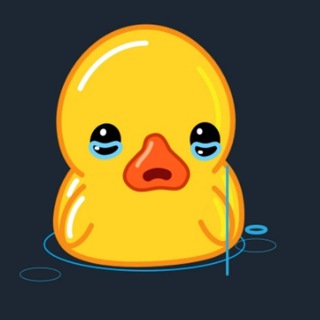 ЧВК РЕДАН (мем)